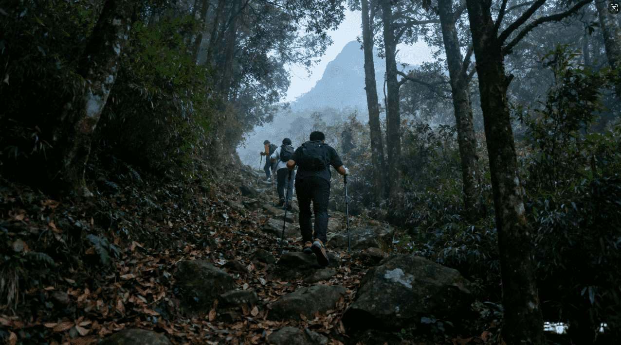 解决方案：旋风加速器忘记密码的详细操作步骤